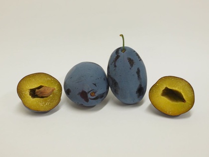 Aufgeschnittene Frucht der Zwetschensorte ‘Franzi®’